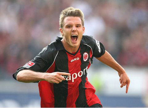 不仅依赖于 不仅依赖于